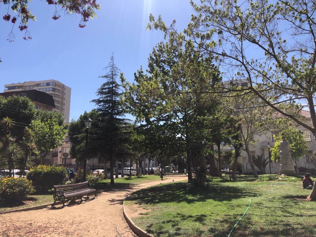 walking near me in Parque Palacio Carrasco in summer