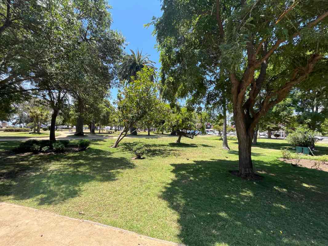 walking near me in Parque Casino Viña in summer