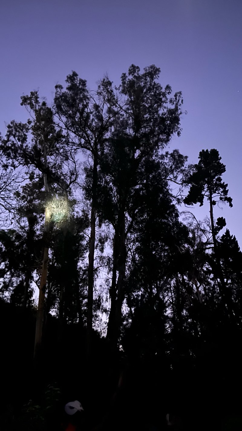 walking near me in Quinta Vergara in spring