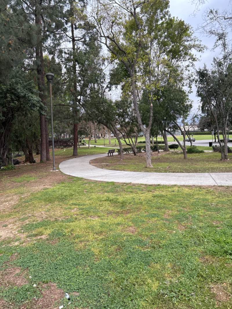 walking near me in Kahler Russell Park in winter