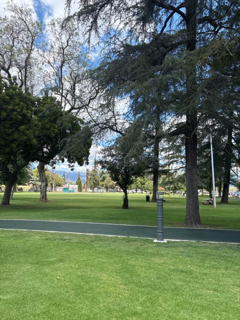 walking near me in Kelby Park in spring