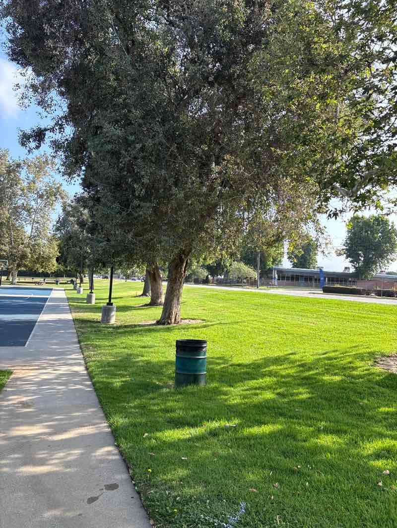 walking near me in Dalton Park in summer
