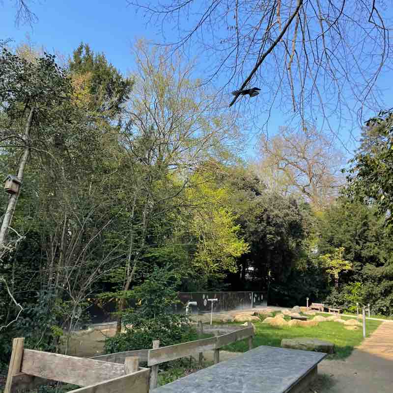 laurent.courbin post 1