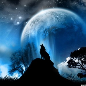 Vladimir RND profile