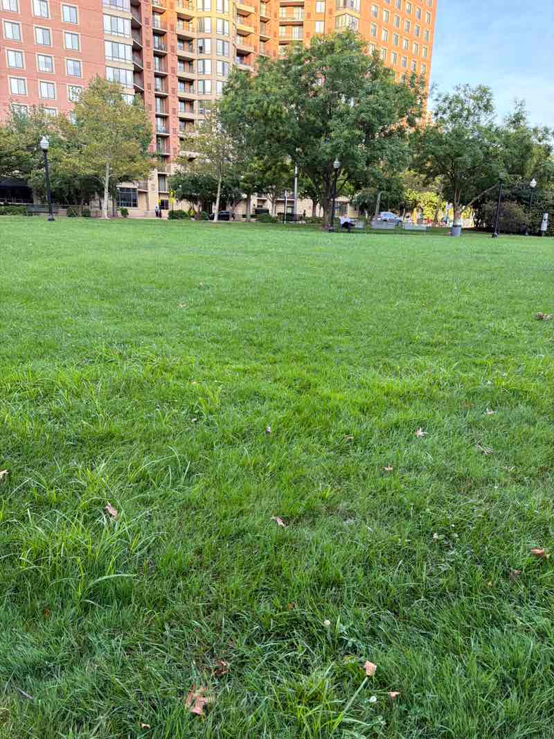 walking near me in Grace Murray Hopper Park in autumn