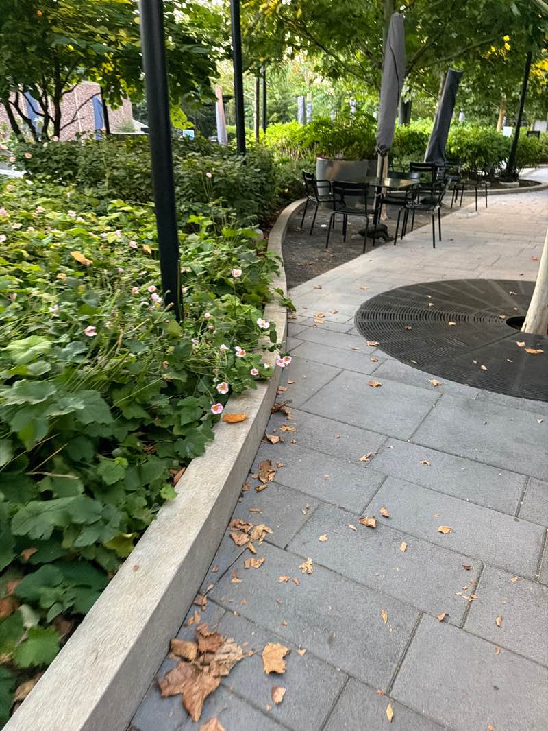 walking near me in Crystal City Water Park in autumn