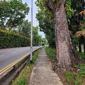 the wayfarer (Lok) profile