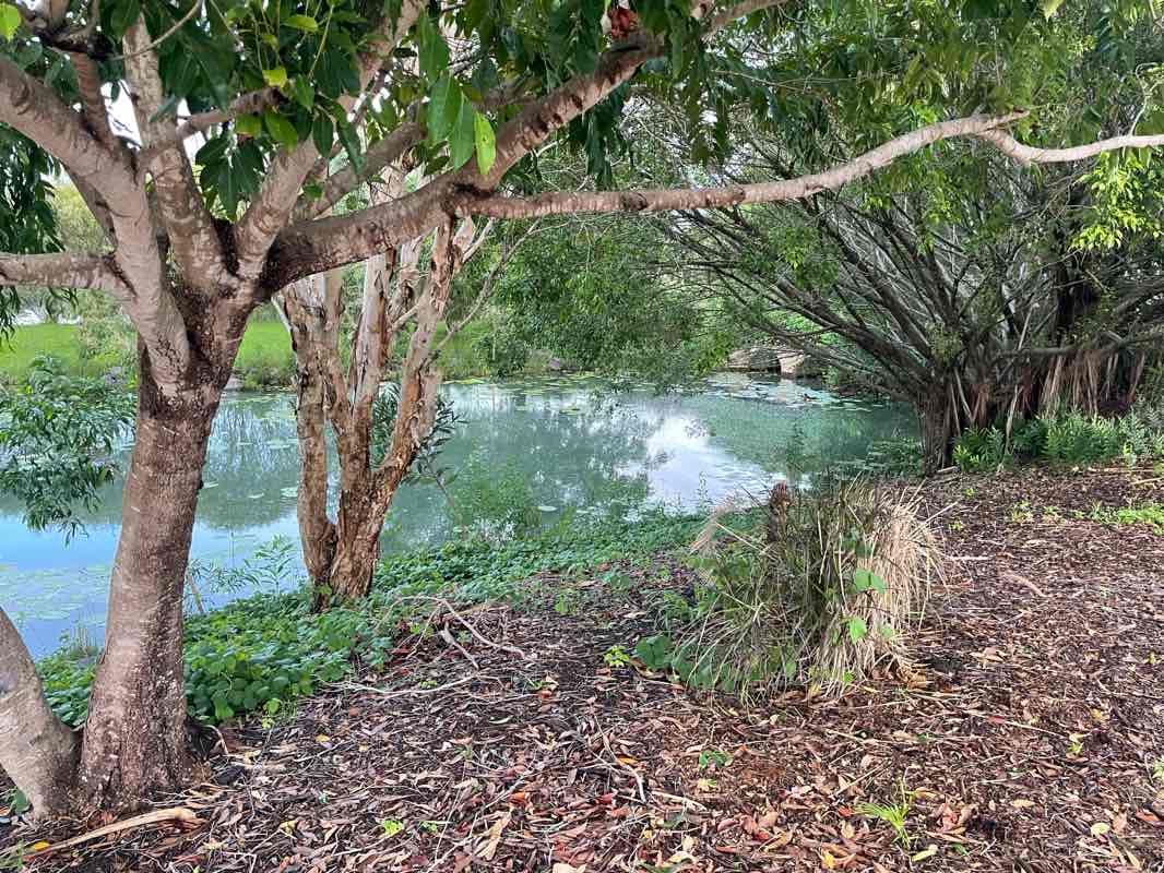 walking near me in Flinders Park in autumn