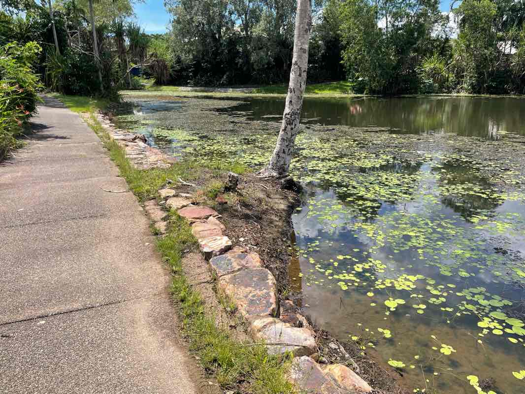 walking near me in Flinders Park in autumn
