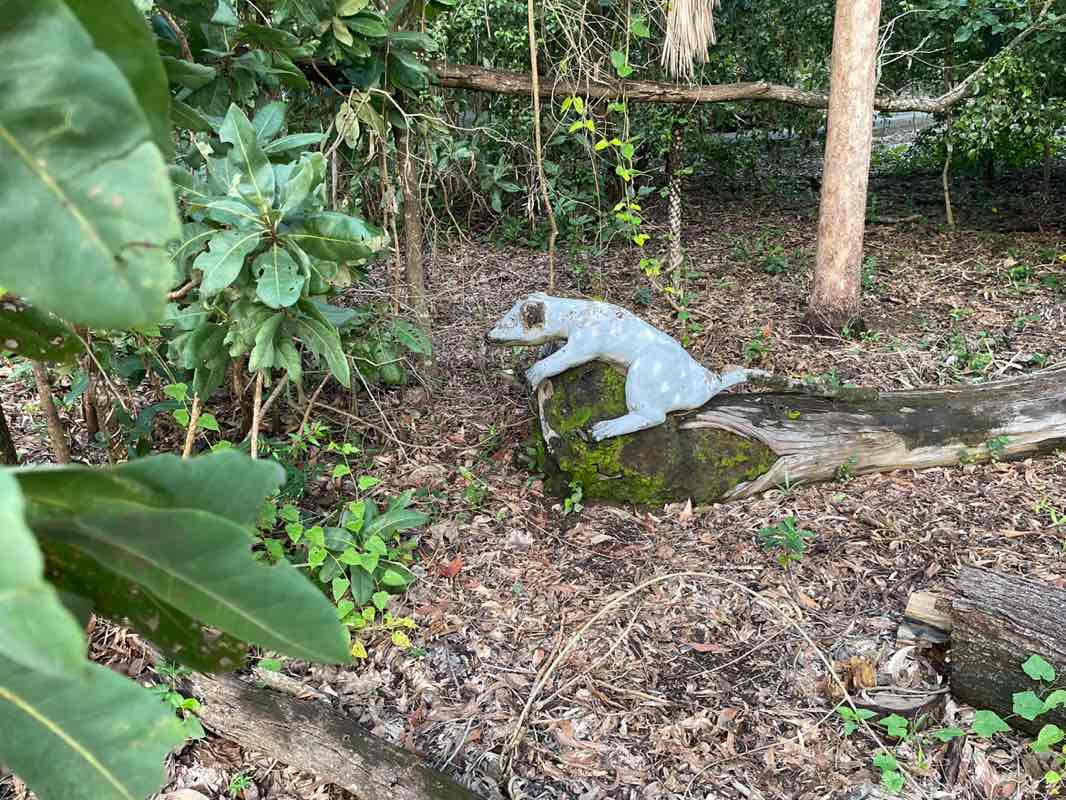 walking near me in Reggies Park in autumn