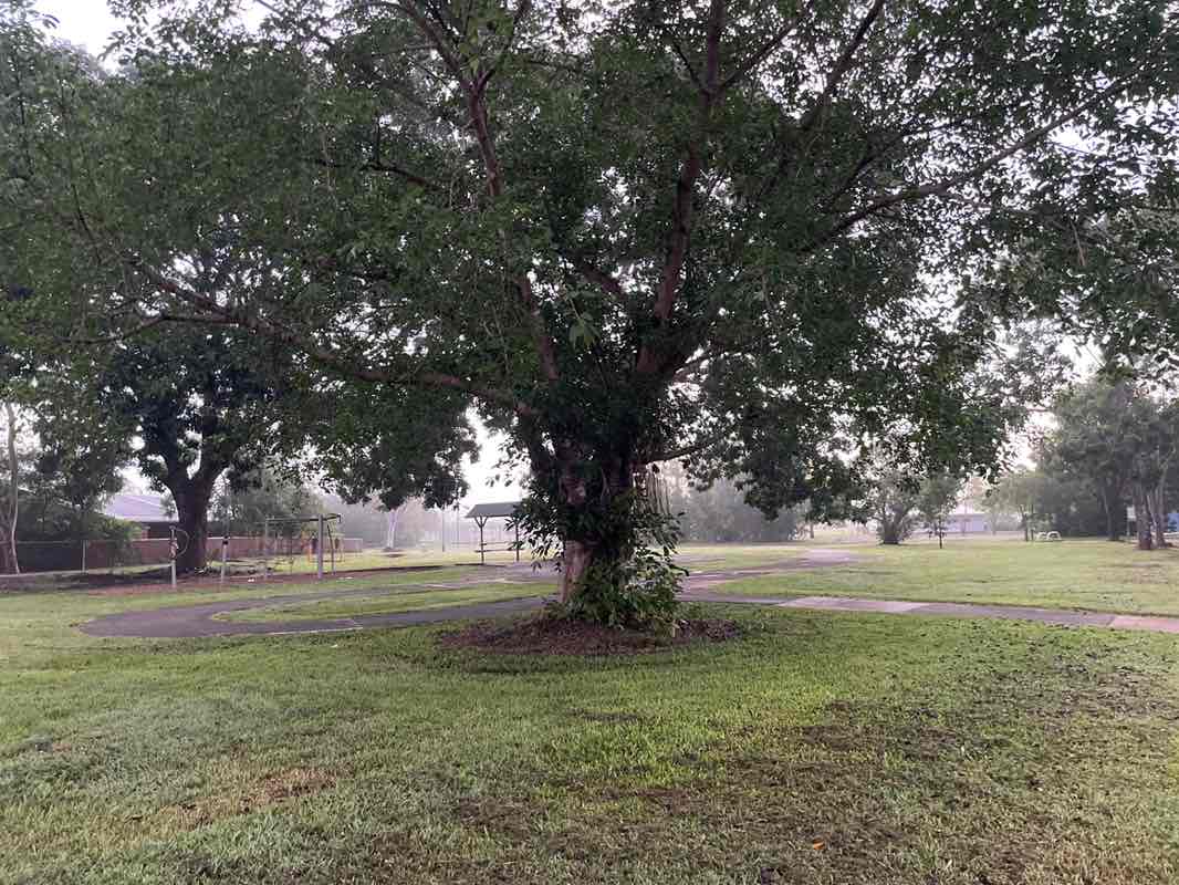 walking near me in Woodroffe Park in autumn