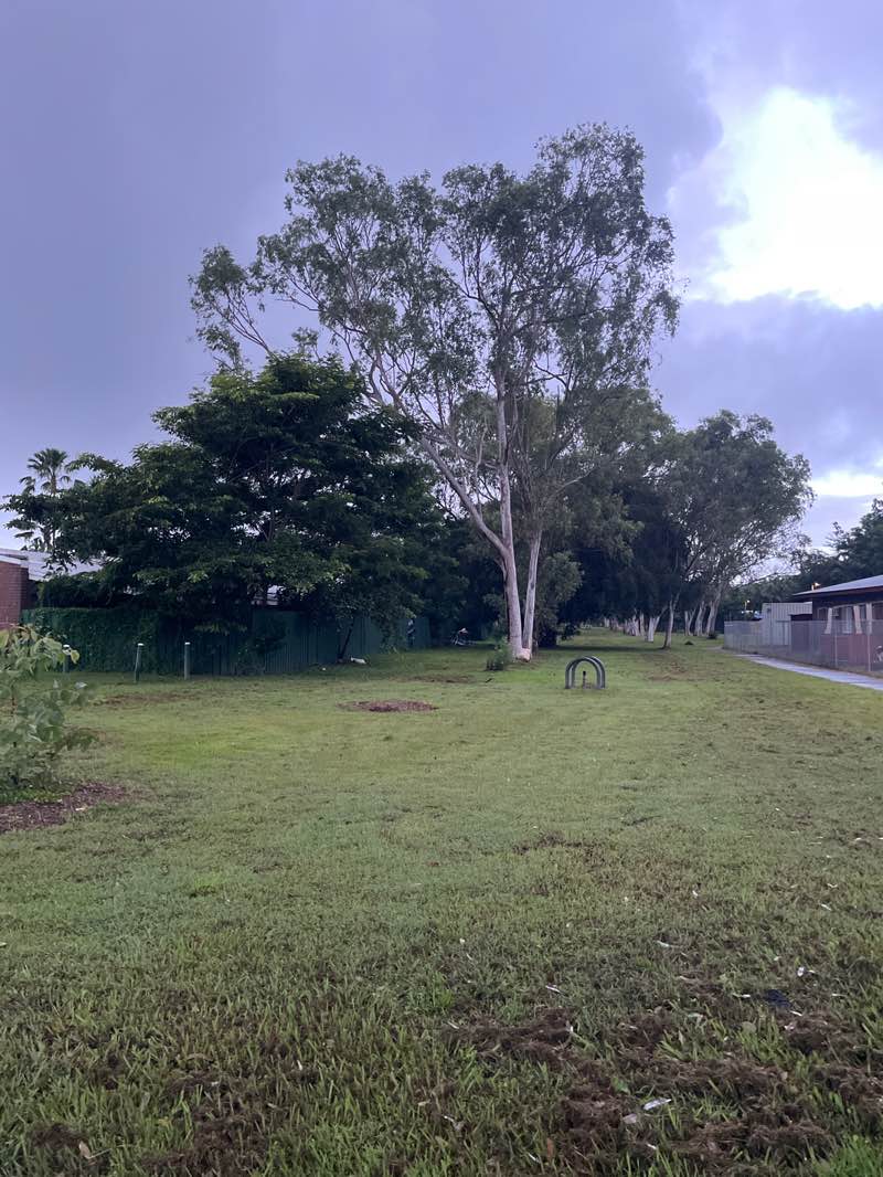 walking near me in Sirius Park in autumn