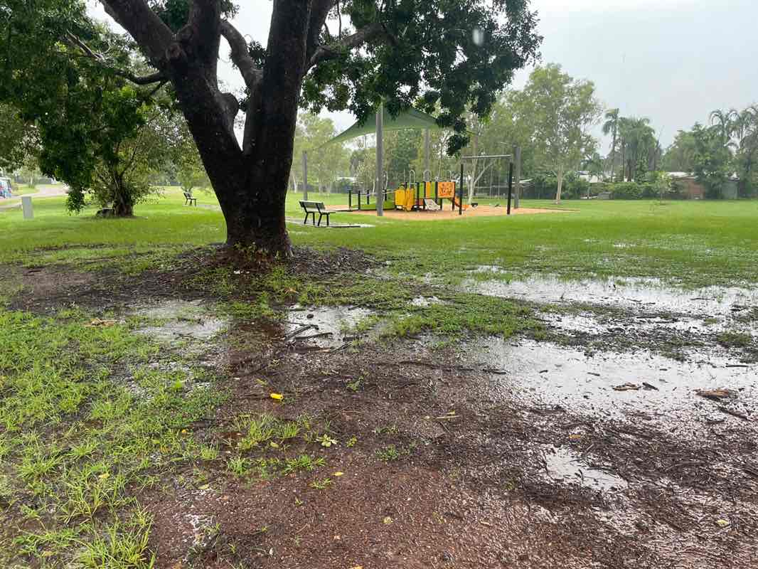 walking near me in Tracy Park in autumn