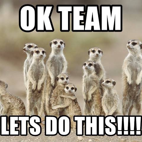 Australia Group 🦘Sandy post image