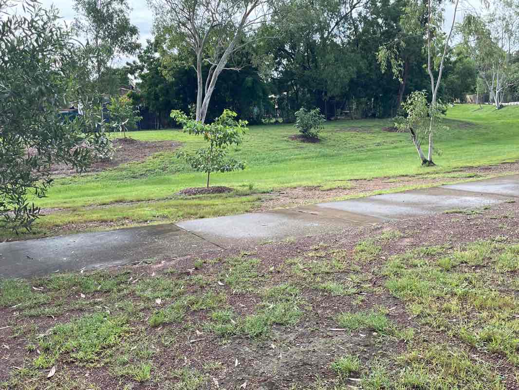 walking near me in Prism Park in autumn