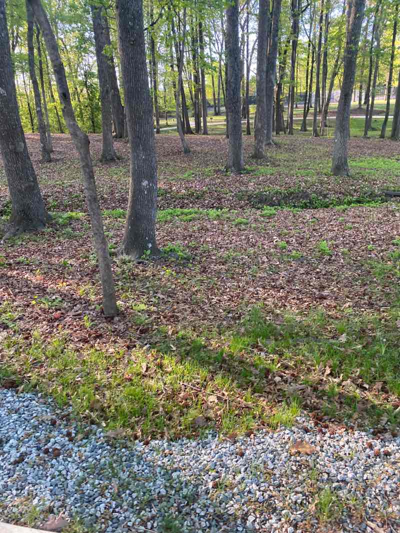 walking near me in Fourth of July Park in spring
