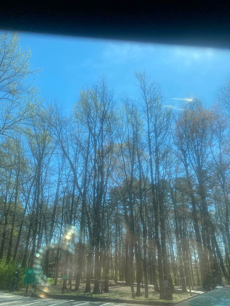 walking near me in Fourth of July Park in spring