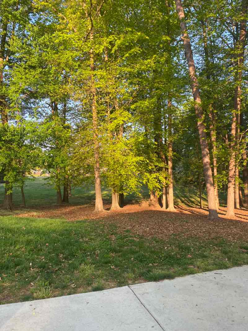 walking near me in Fourth of July Park in spring