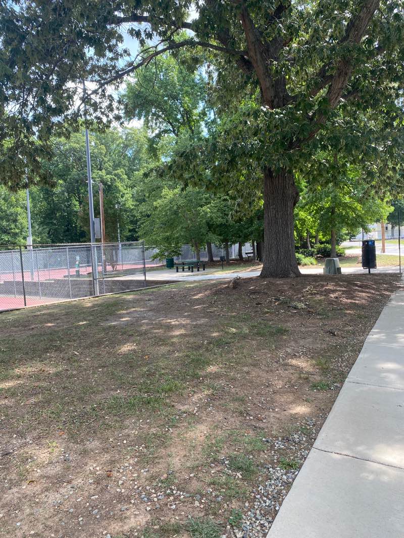 walking near me in Fourth of July Park in summer