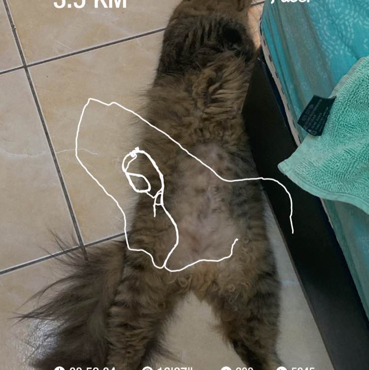 𝓐𝓪𝔃𝓲𝓮 post 1