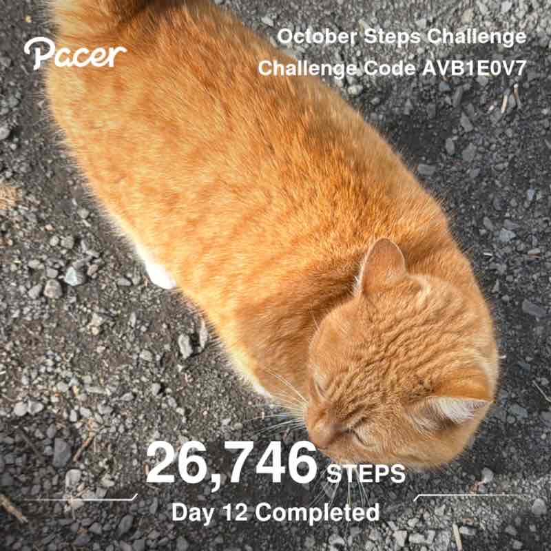April Steps Challenge Laynes post image