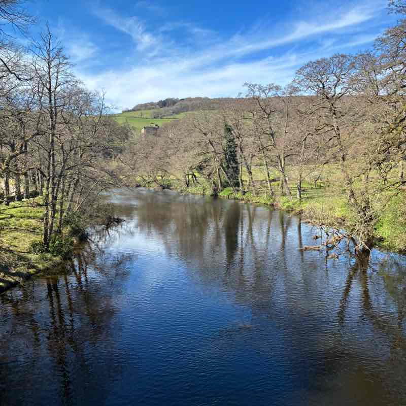 BTC PACE Setters 👟👟 Jennie Nichol post image