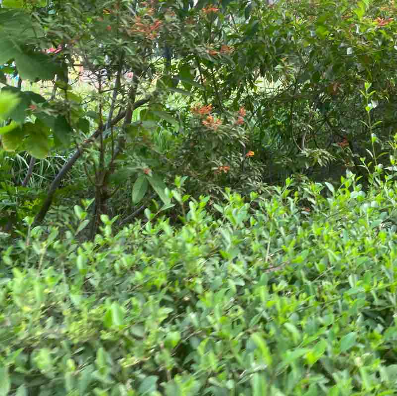Uday post 1