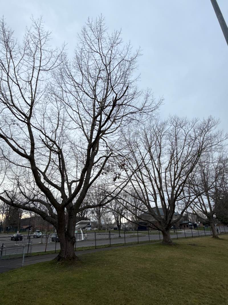 walking near me in Civic Athletic Complex in autumn
