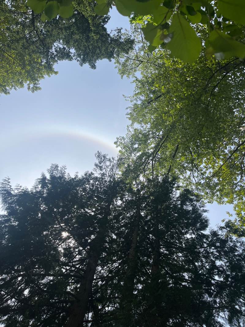 walking near me in Fairhaven Park in spring