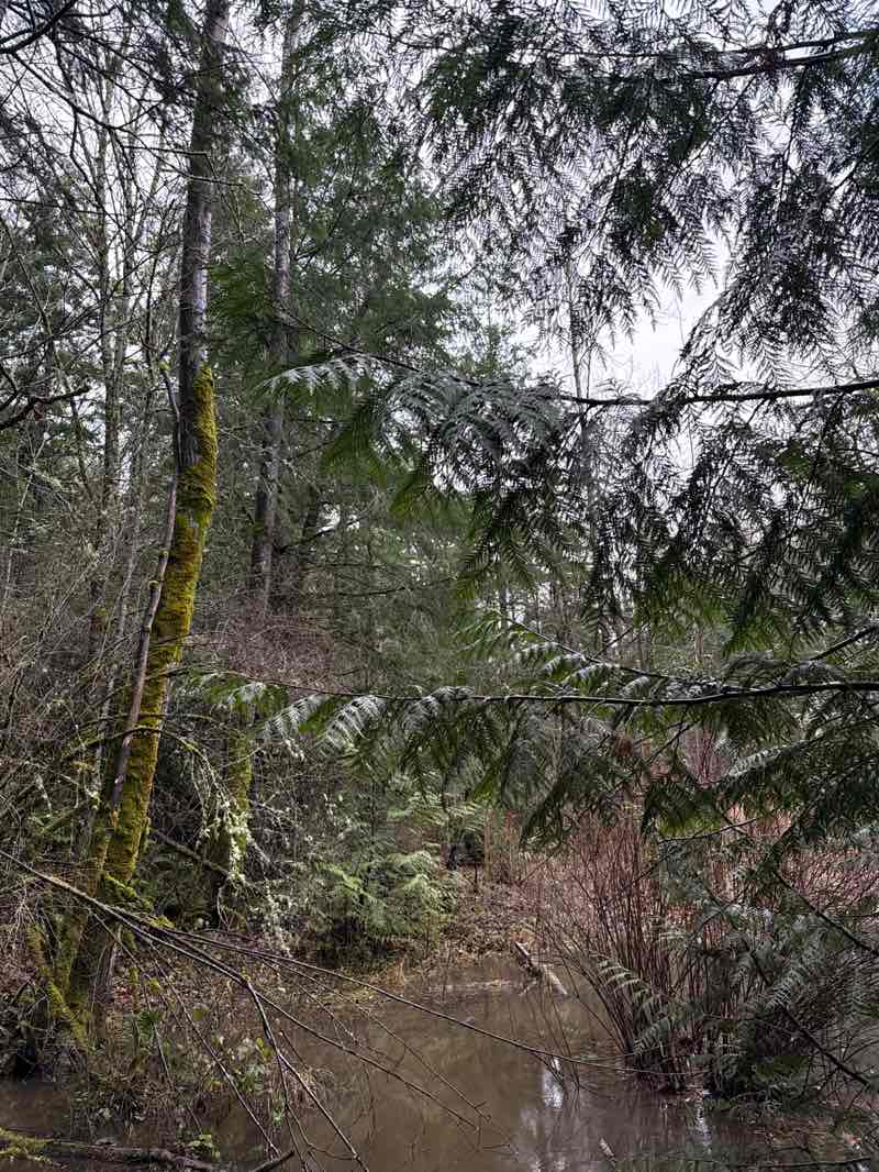 walking near me in Fairhaven Park in winter