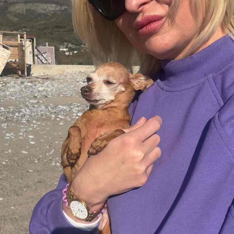 Татары Marina post image