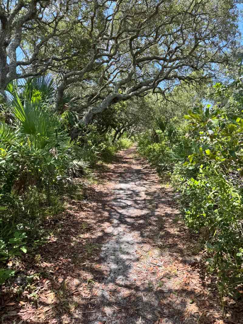 walking near me in North Peninsula State Park in summer