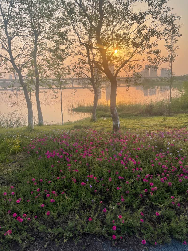 walking near me in chin new park in winter