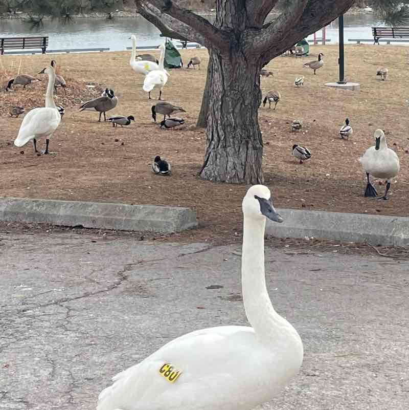 🥰Tatiana🥰 post 1