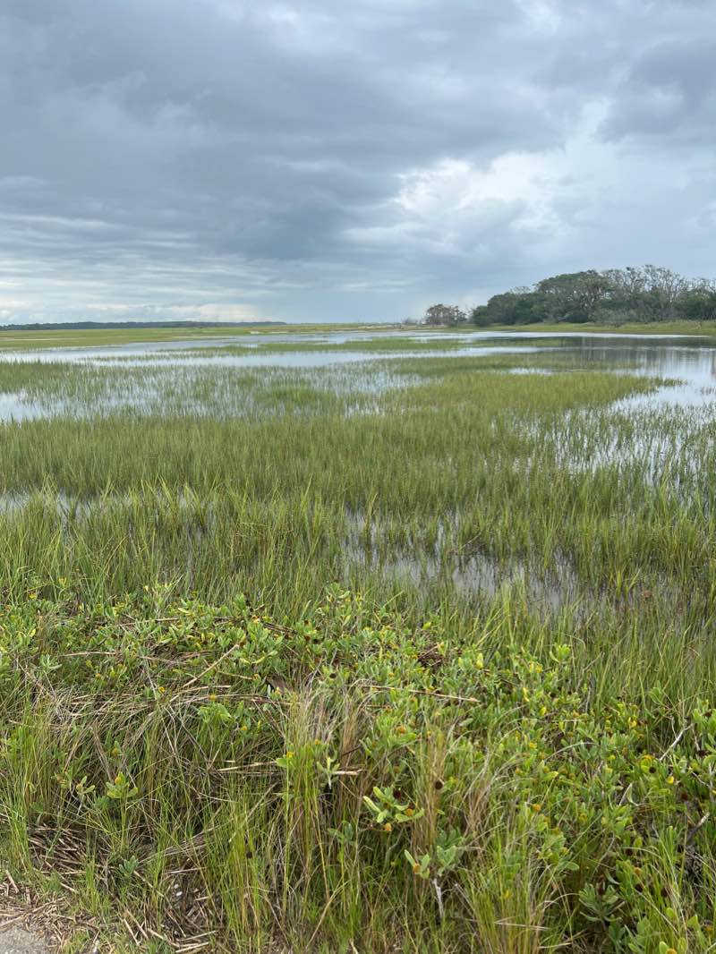 walking near me in Botany Bay Heritage Preserve in winter