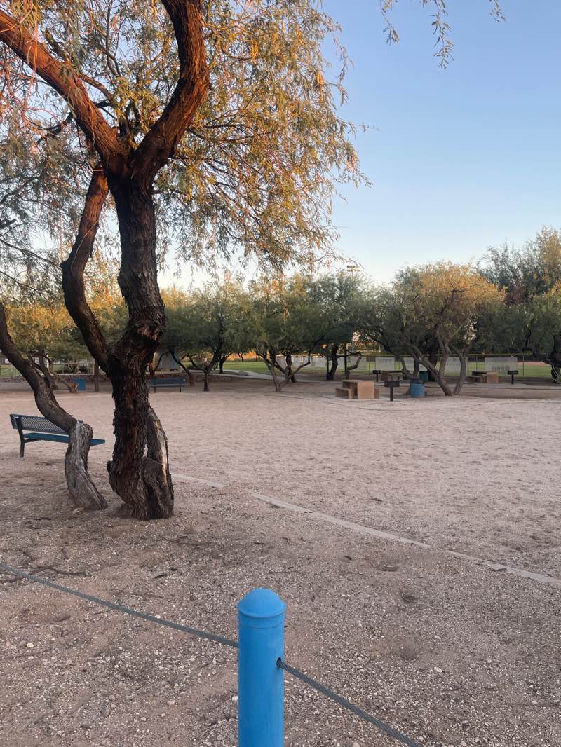 walking near me in Mehl Foothills Park in autumn