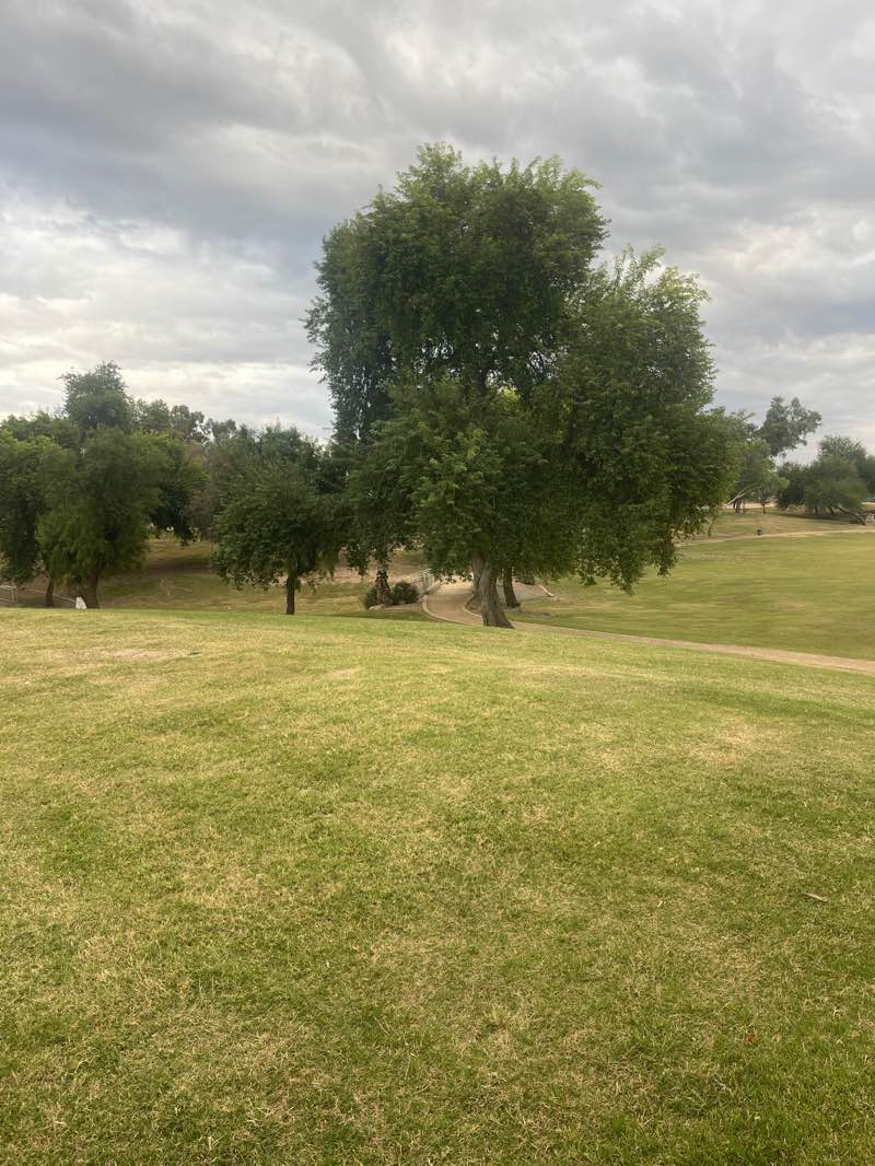 walking near me in Arrowhead Meadows Park in autumn