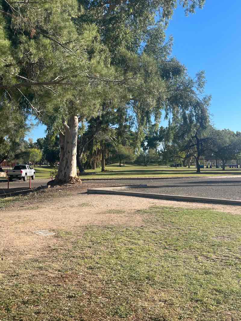 walking near me in Gene C. Reid Park in autumn