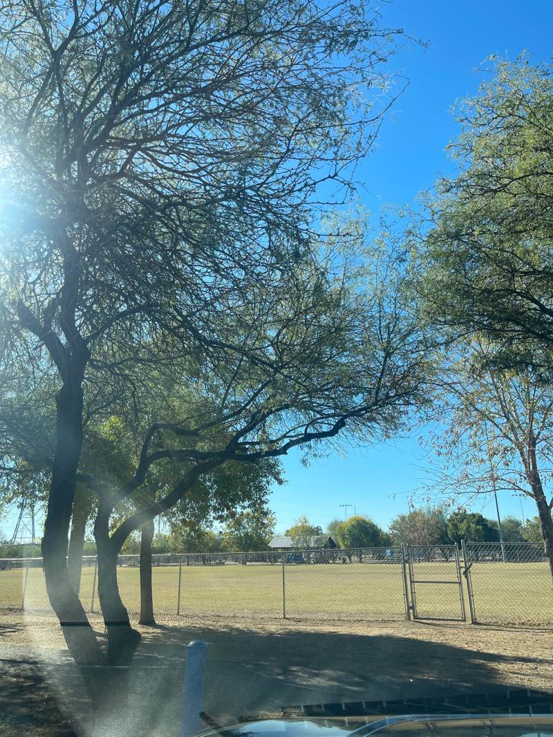 walking near me in Brandi Fenton Memorial Park in autumn