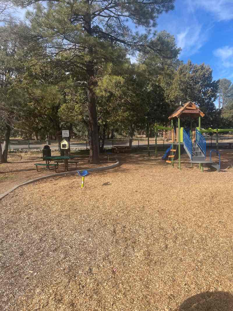 walking near me in Show Low City Park in winter