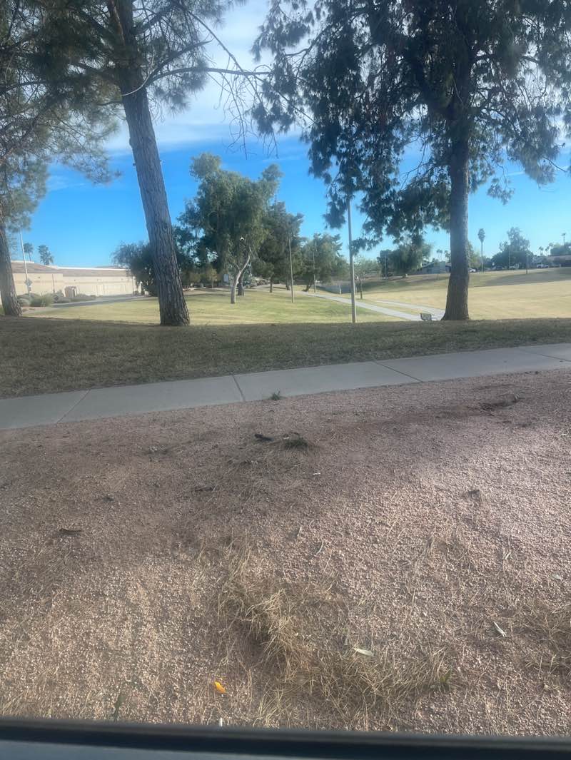 walking near me in Harmony Hollow Park in winter