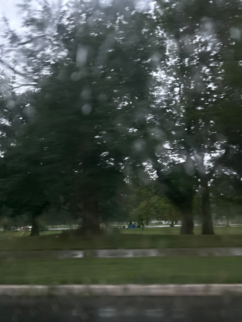 walking near me in Warinanco Park in summer