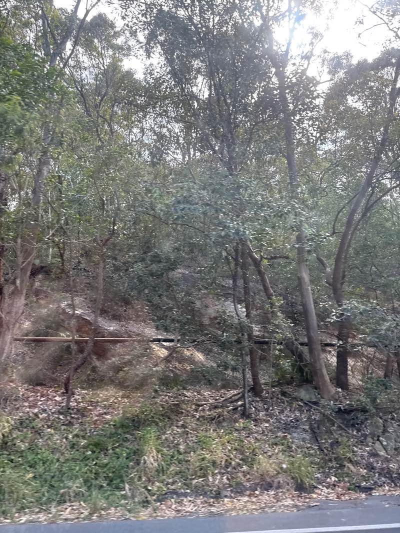 walking near me in Burleigh Head National Park in spring