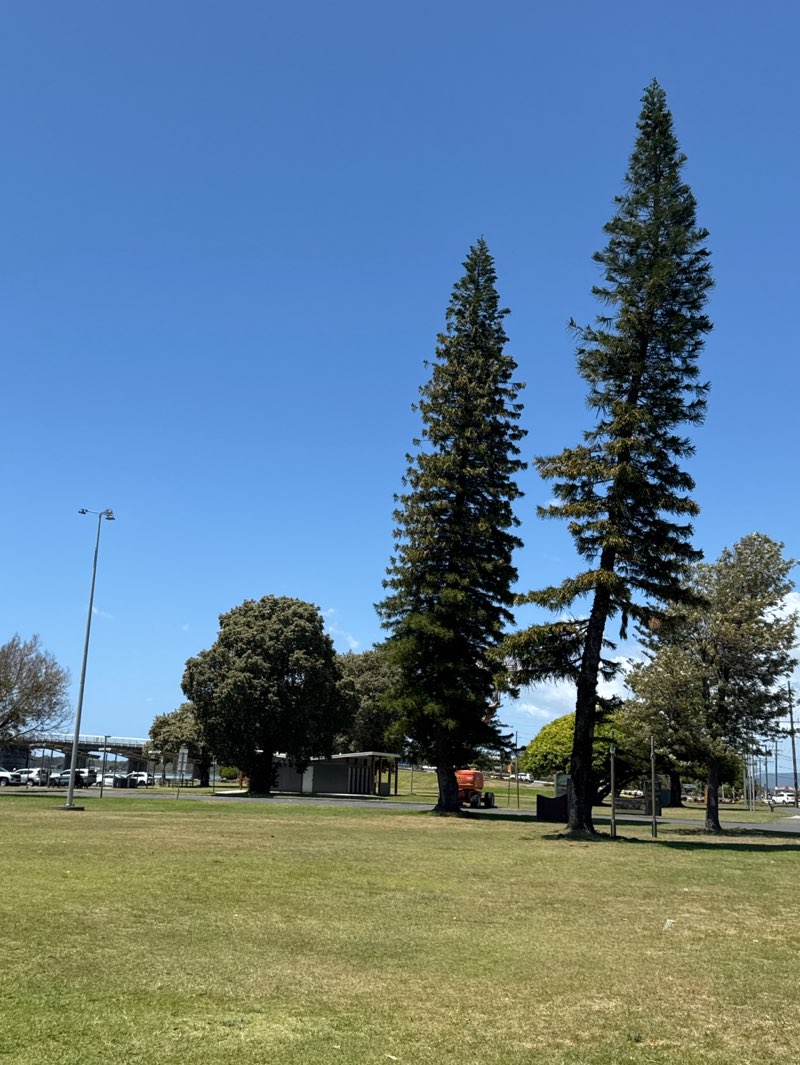 walking near me in John Wright Park in spring
