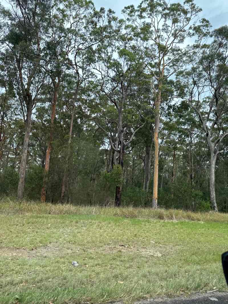 walking near me in Medowie State Conservation Area in spring