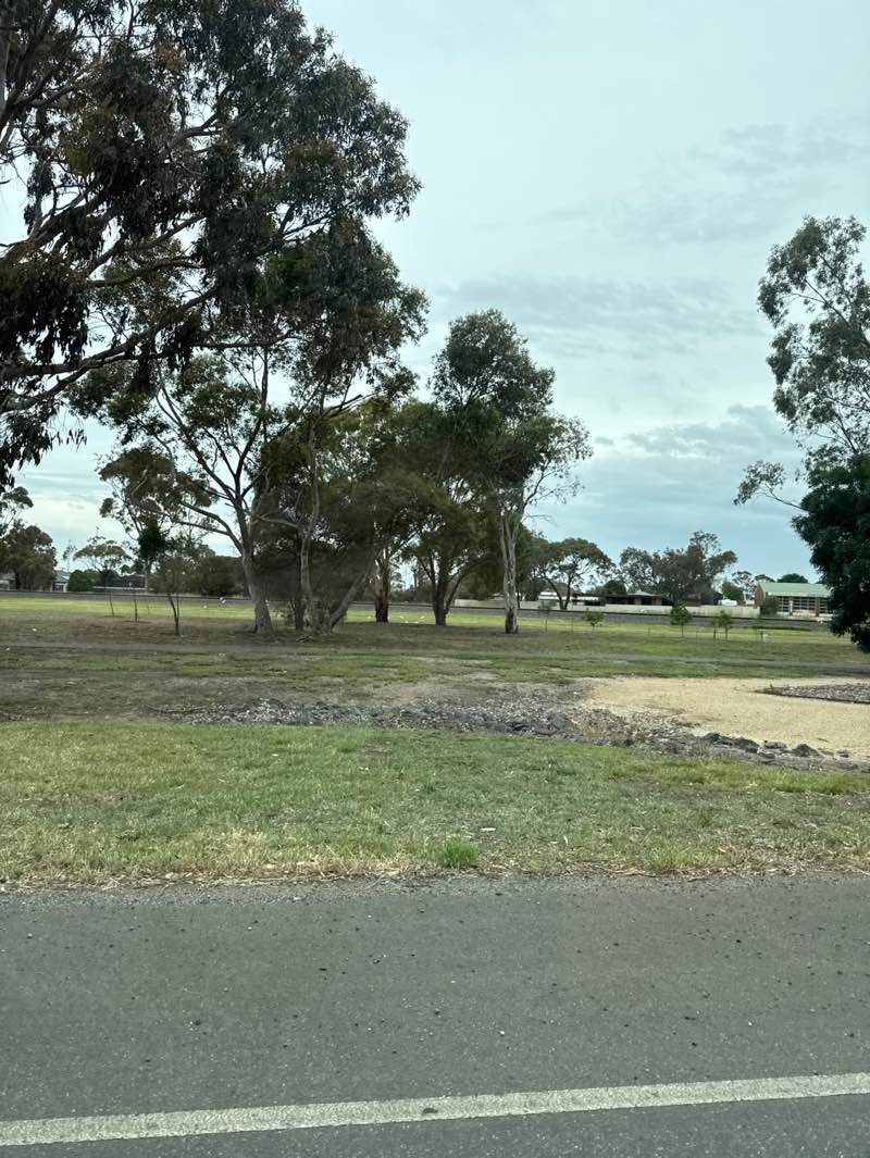 walking near me in Lions park in summer