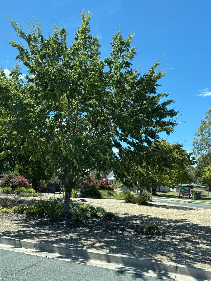 walking near me in Paddy Osborne Park in autumn