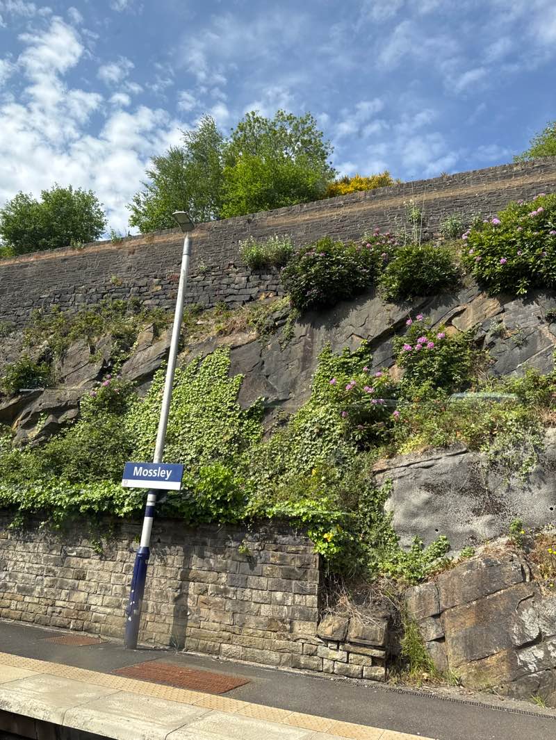 walking near me in Mossley Park in spring