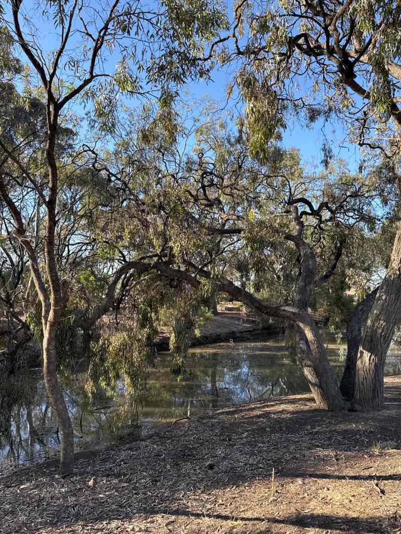 walking near me in Apex Island in summer