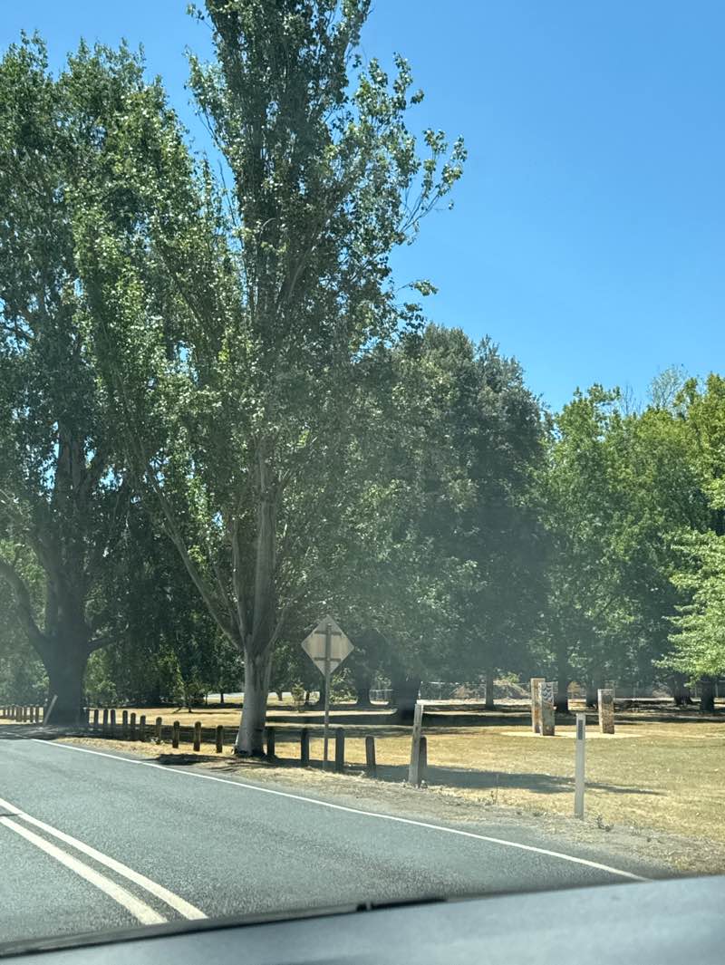 walking near me in Centennial Park in summer